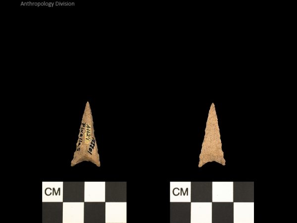 Pinellas | Alachua Tradition to Contact Period