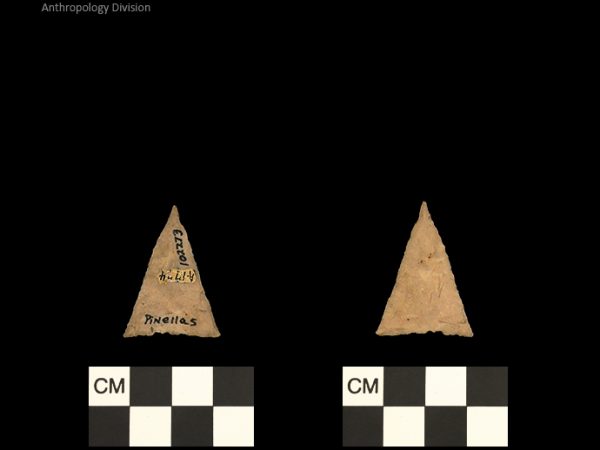 Pinellas | Alachua Tradition to Contact Period