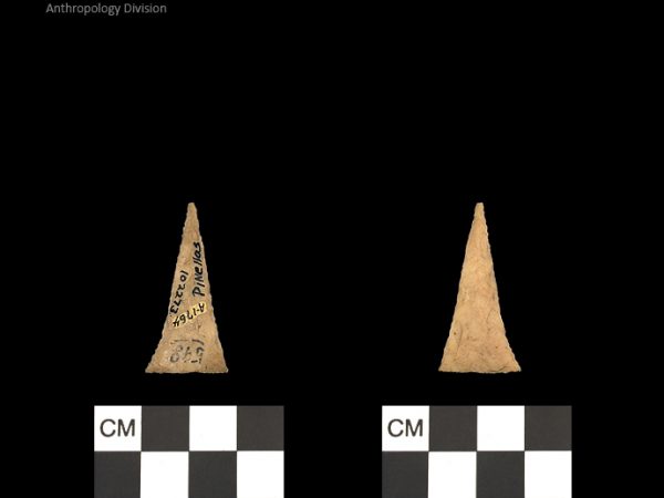 Pinellas | Alachua Tradition to Contact Period