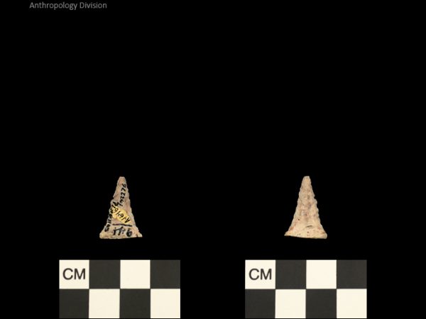 Pinellas | Alachua Tradition to Contact Period