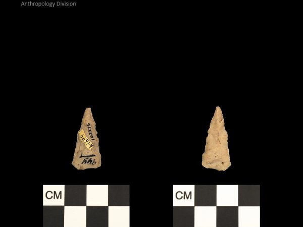 Pinellas | Alachua Tradition to Contact Period