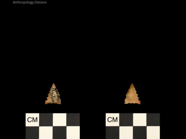 Pinellas | Alachua Tradition to Contact Period
