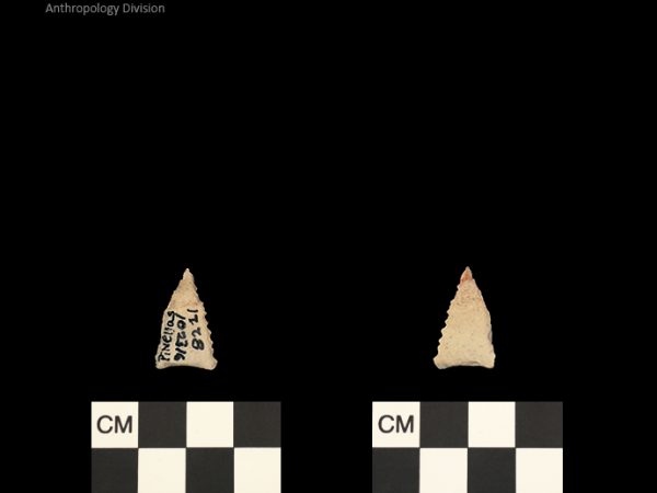 Pinellas | Alachua Tradition to Contact Period