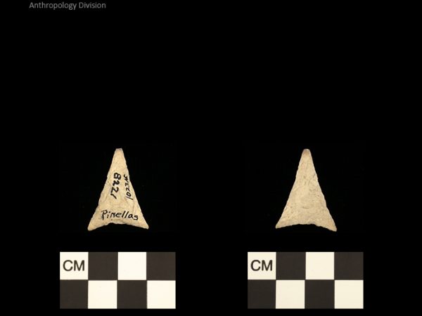 Pinellas | Alachua Tradition to Contact Period