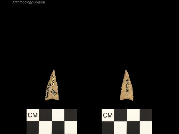 Pinellas | Alachua Tradition to Contact Period