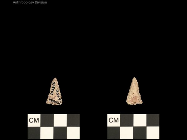 Pinellas | Alachua Tradition to Contact Period