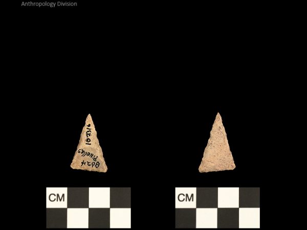 Pinellas | Alachua Tradition to Contact Period