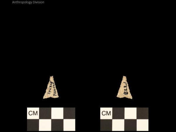 Pinellas | Alachua Tradition to Contact Period