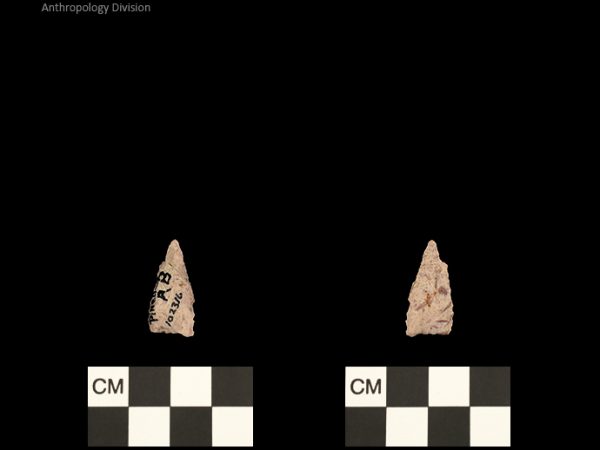 Pinellas | Alachua Tradition to Contact Period