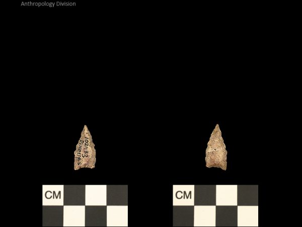 Pinellas | Alachua Tradition to Contact Period