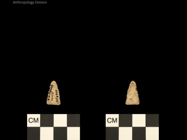 Pinellas | Alachua Tradition to Contact Period