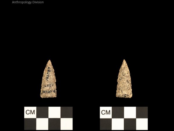 Pinellas | Alachua Tradition to Contact Period