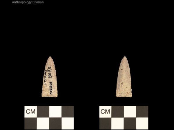 Pinellas | Alachua Tradition to Contact Period