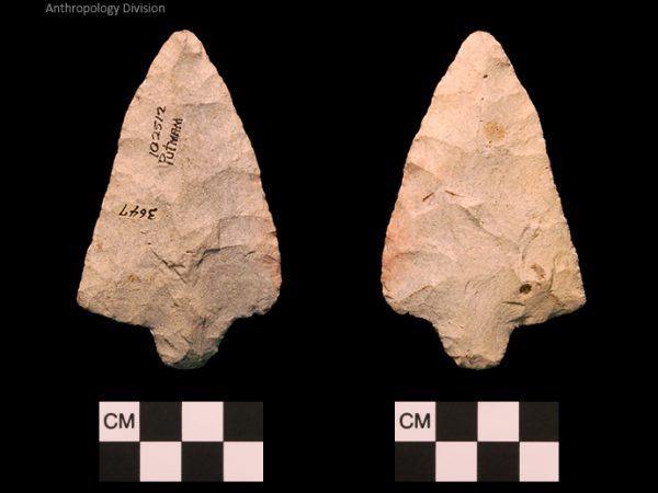 Putnam | Late Archaic