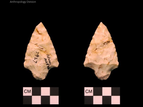 Putnam | Late Archaic