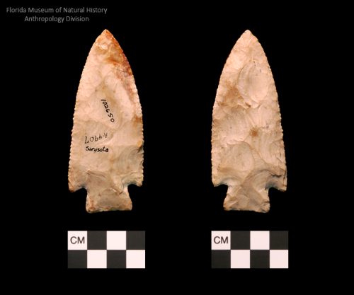 Sarasota | Woodland/Post-Archaic Regional