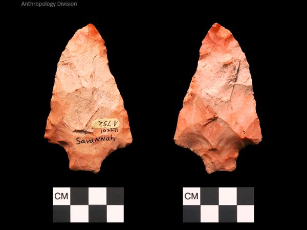 Savannah River | Middle Archaic