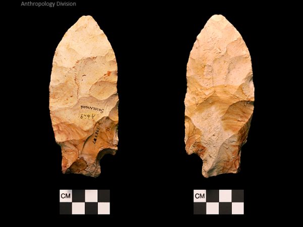 Savannah River | Middle Archaic