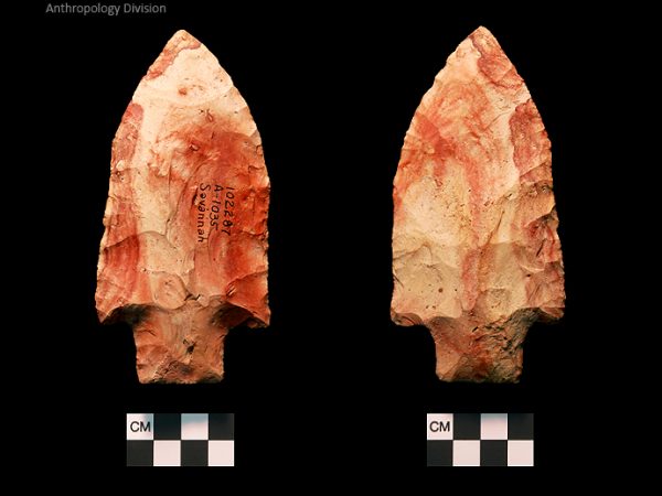 Savannah River | Middle Archaic