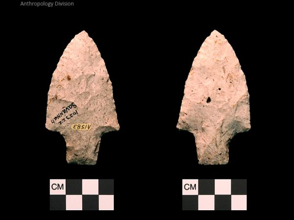 Savannah River | Middle Archaic