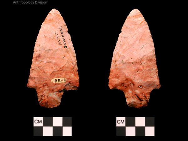 Savannah River | Middle Archaic