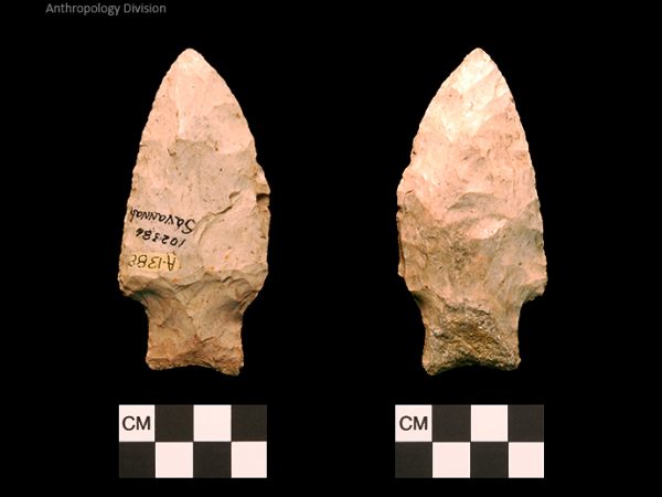 Savannah River | Middle Archaic