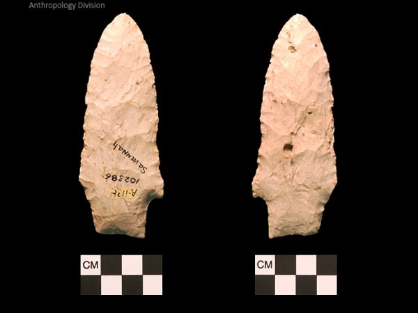 Savannah River | Middle Archaic