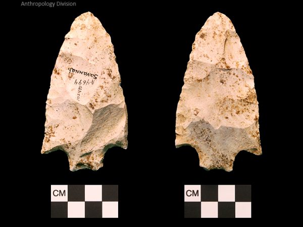 Savannah River | Middle Archaic