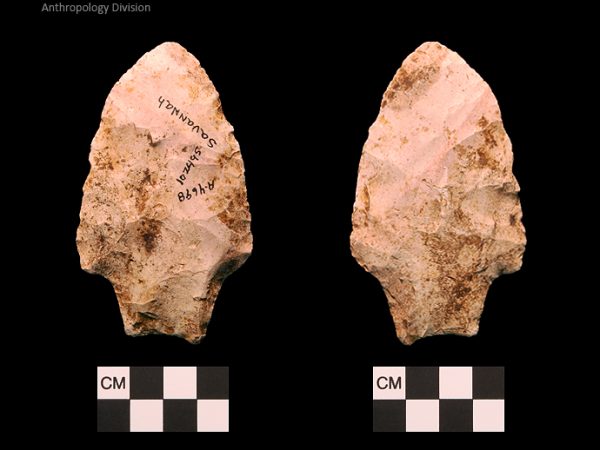 Savannah River | Middle Archaic