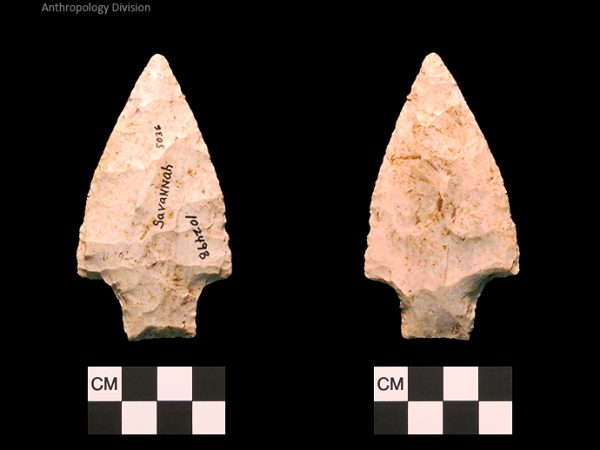 Savannah River | Middle Archaic