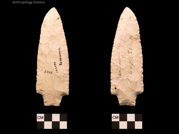 Savannah River | Middle Archaic