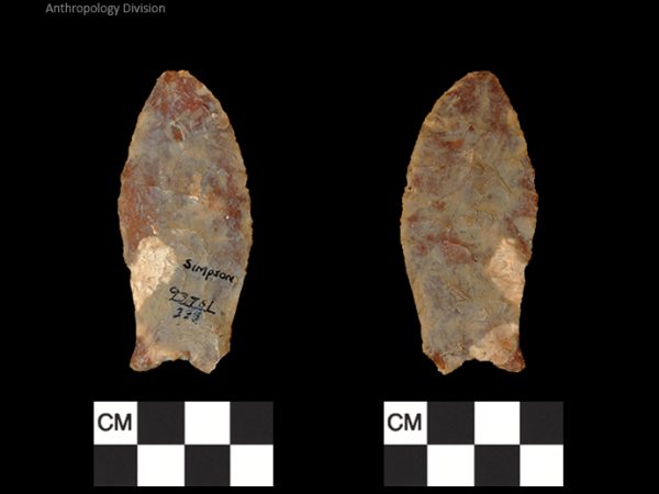 Simpson | Paleoindian