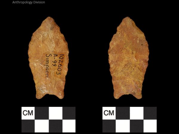 Simpson | Paleoindian