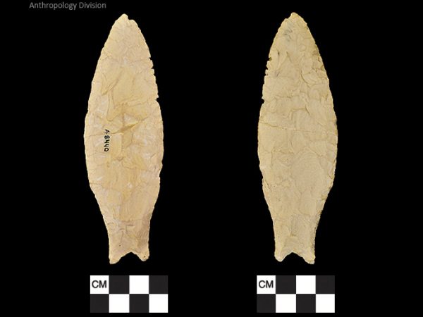 Simpson | Paleoindian