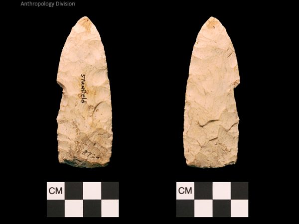 Stanfield | Early Archaic