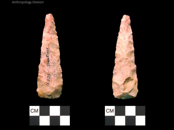 Stanfield | Early Archaic