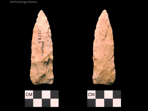 Stanfield | Early Archaic