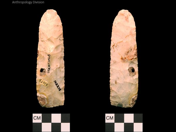 Stanfield | Early Archaic