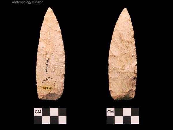 Stanfield | Early Archaic