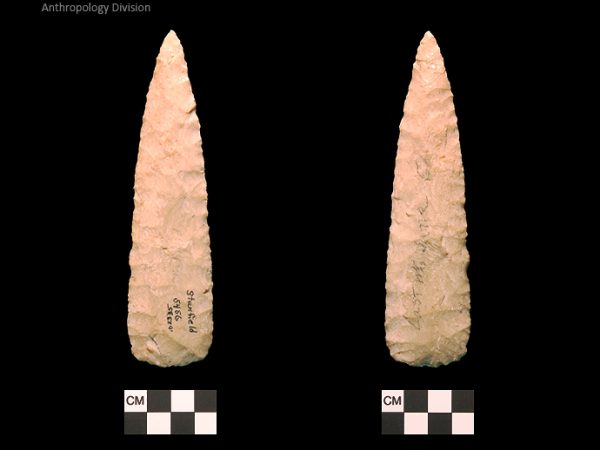 Stanfield | Early Archaic