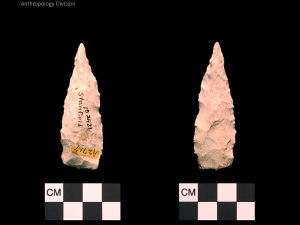 Stanfield | Early Archaic