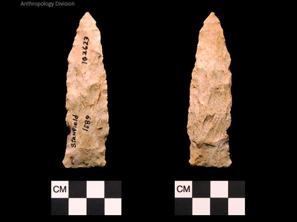 Stanfield | Early Archaic