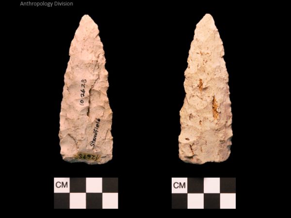 Stanfield | Early Archaic