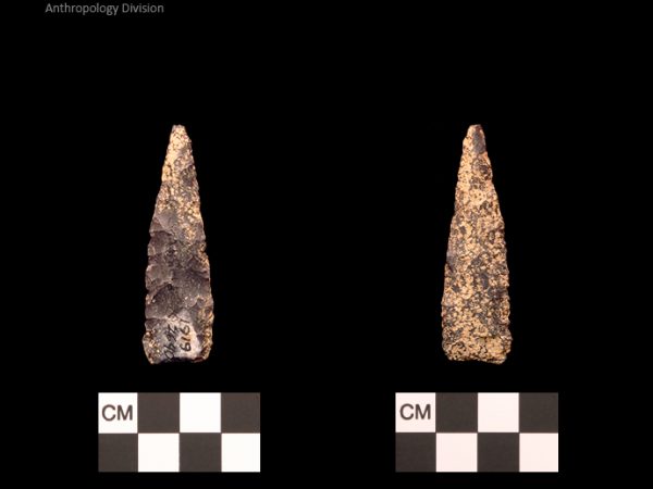 Stanfield | Early Archaic