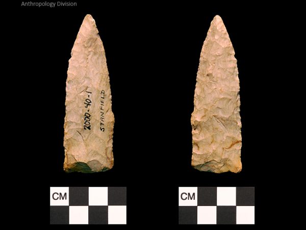 Stanfield | Early Archaic