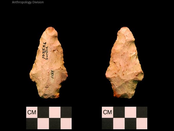 Sumter | Early Archaic