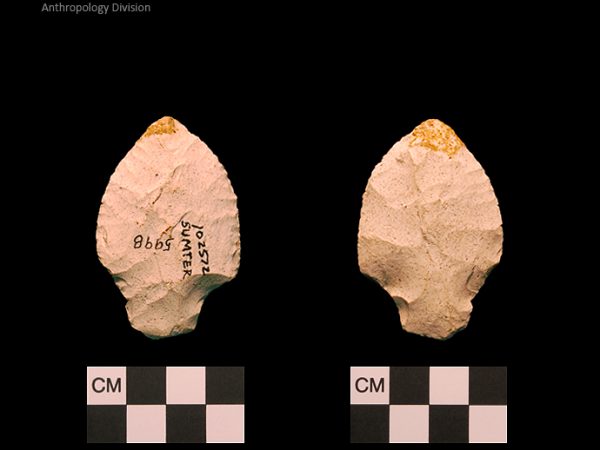 Sumter | Early Archaic