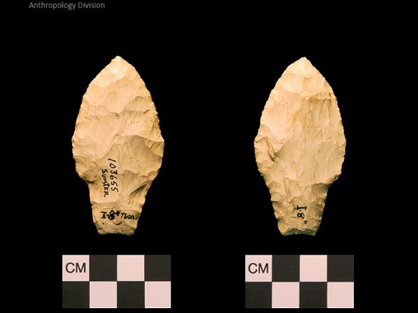 Sumter | Early Archaic