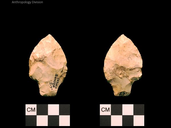 Sumter | Early Archaic