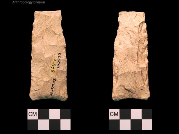 Suwannee | Paleoindian